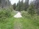 previous photo