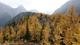 next photo