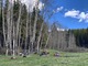 previous photo