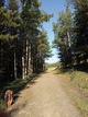 previous photo