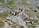 previous photo
