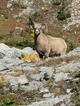 previous photo
