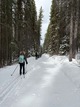 previous photo