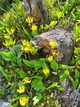 previous photo