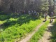 previous photo