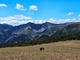 previous photo