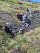previous photo