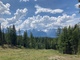 previous photo