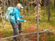 previous photo