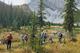 previous photo