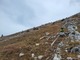 previous photo