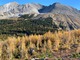 previous photo