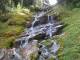 previous photo