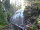 previous photo