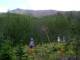 previous photo